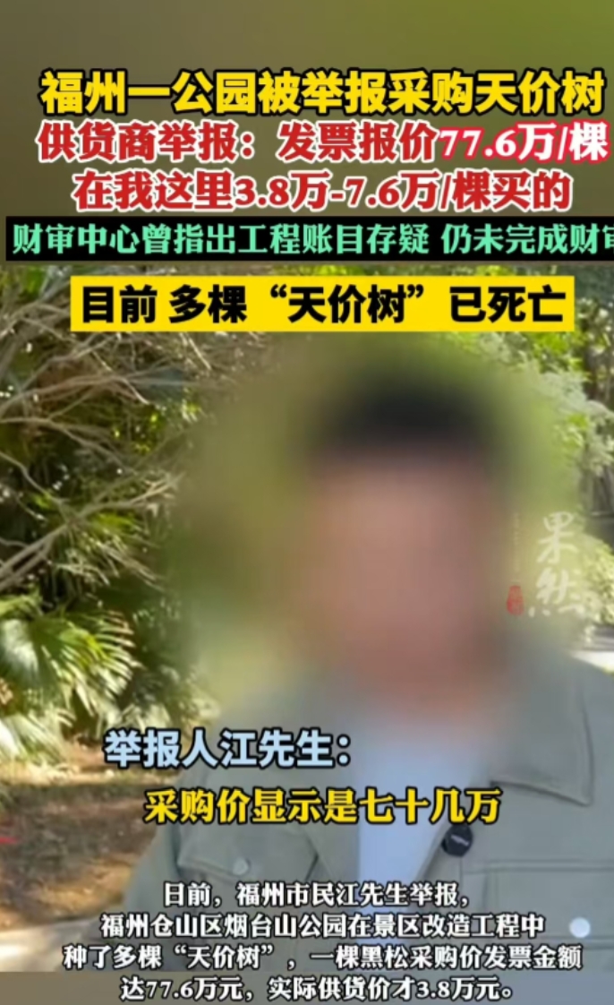 福建一公园采购“天价树”，发票上报价77.6万每棵，实则进价仅3.8万 - 7.