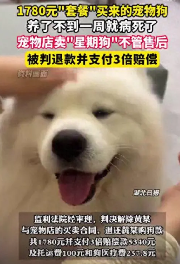 “卖不起就别卖！”2024年3月，江西南昌一位女子在宠物店里花1780元套餐买了