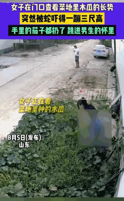 “太吓人了！”8月3日，山东，一女子弯腰查看木瓜长得怎么样了，突然，她看到草里面