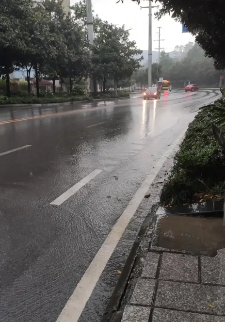 婆婆又罢工了
只要我休息，婆婆就一定罢工
今天早上外边下着雨，我本想睡个自然醒