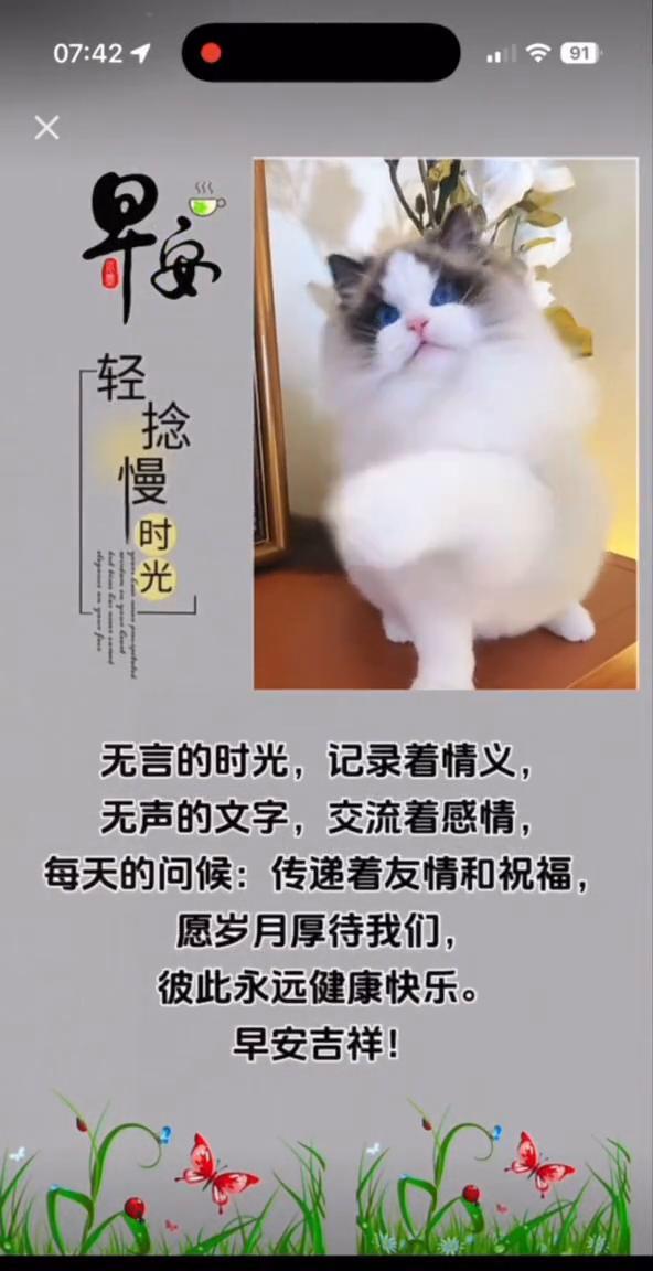 无言的时光，记录着情义，无声的文字，交流着感情，每天的问候，传递着友情和祝福，愿