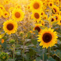 取个名字真难啊