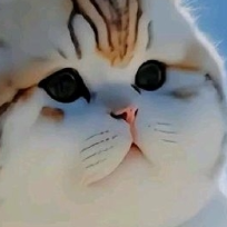 李大馍