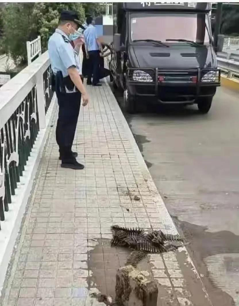 看来钓鱼佬又立功了，
不要问此时的钓鱼佬在哪？
那肯定是继续在钓鱼。