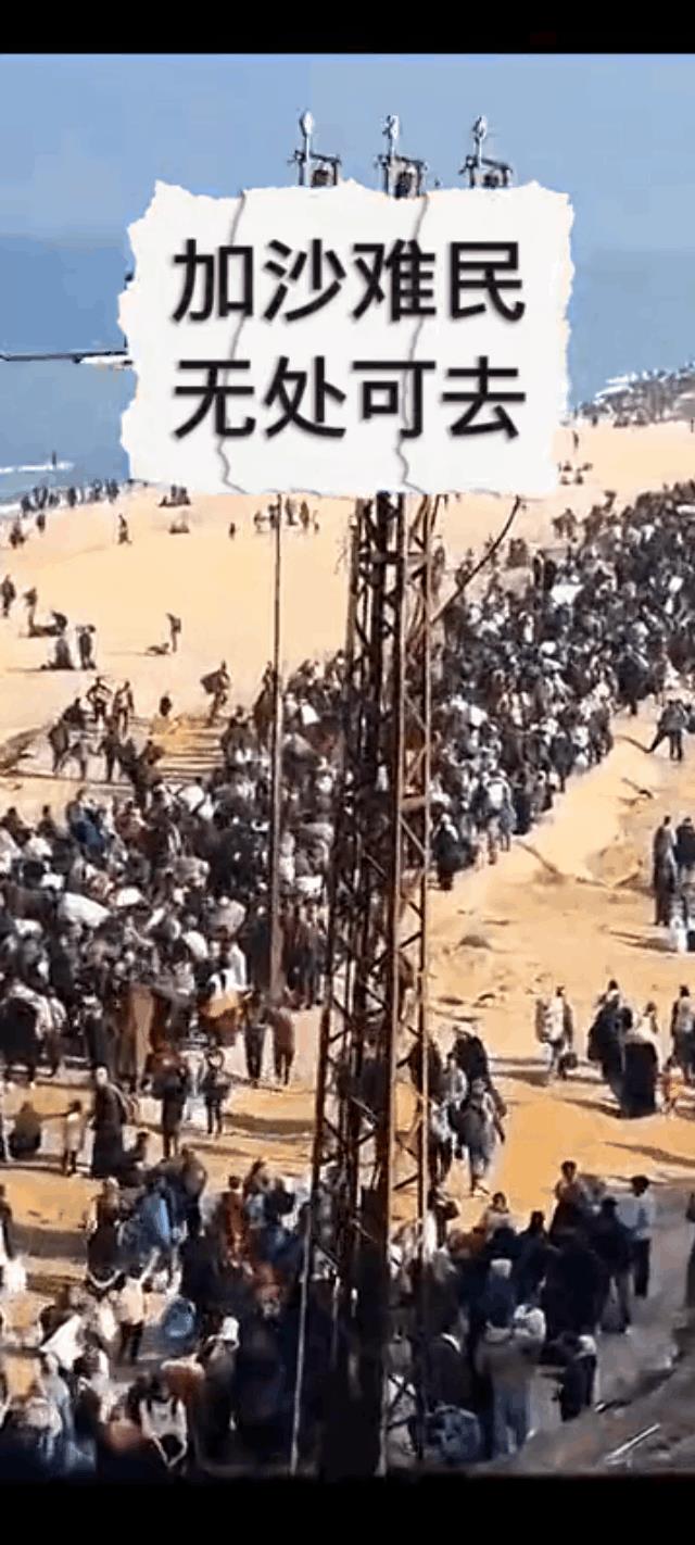 无处容身的加沙难民聚集在海边再没有退路了！
生同蝼蚁！太可怜了吧？问苍天，以色列