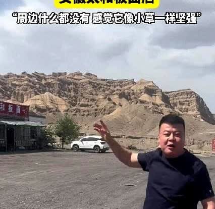 这种人就该赚钱！

新疆，一男子在戈壁滩上，发现一家安徽太和板面店，男子看了