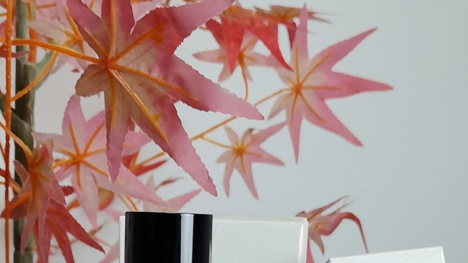 平价护发精油有哪些好用的？2025护发精油商品排行榜！高段位