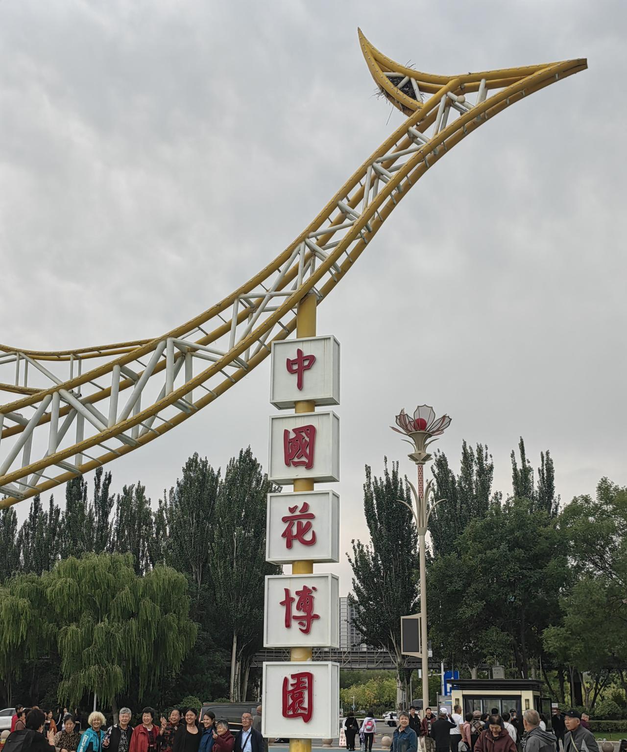 国庆假期想去赏花的有福啦！银川中国花博园的菊花展不容错过。9月20日起，3.6万