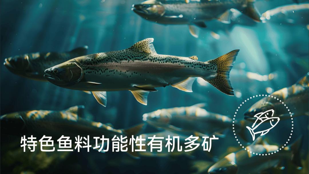 鱼类肝脂代谢的微量元素调控机制：理论解析与创新应用实践