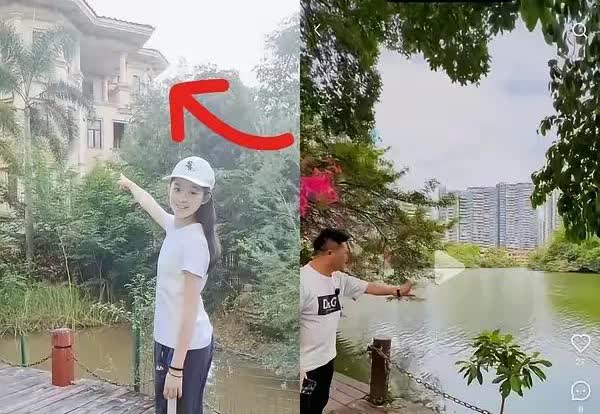黄杨钿甜难怪不跟老爹姓杨的原因啰！原来黄家的背景不是一般的大啊！
黄杨钿甜的爷