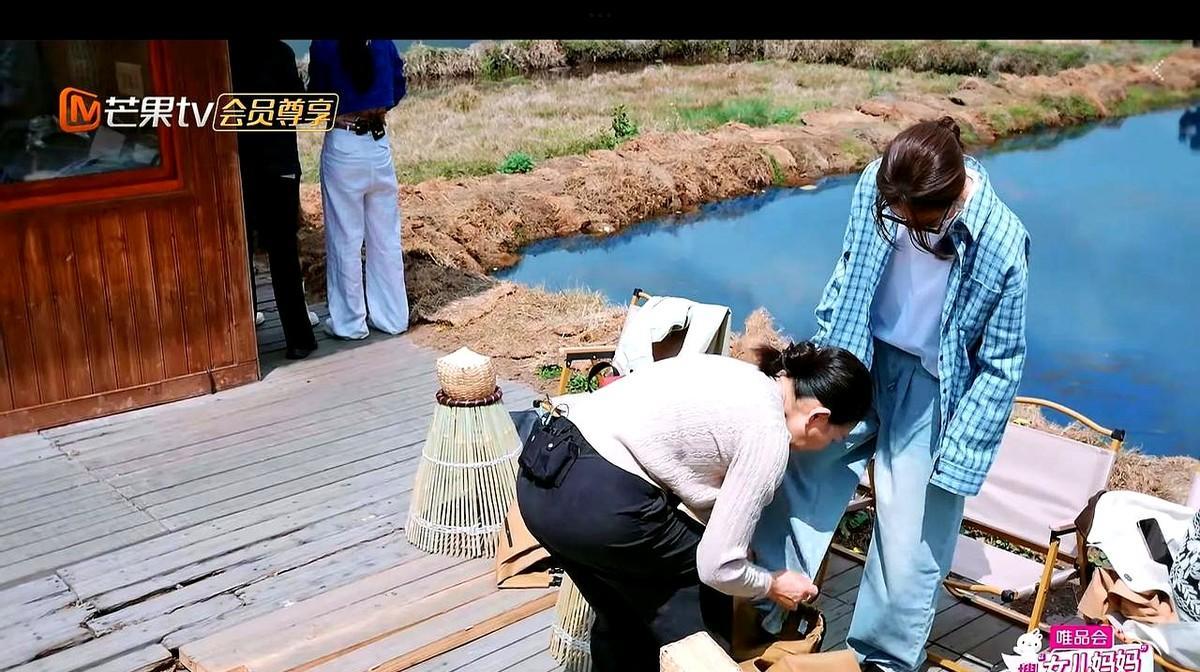 陈梦，要不你先别和妈妈录综艺了
我真的被他们母女俩刺激得不轻
我不羡慕陈梦的奥运