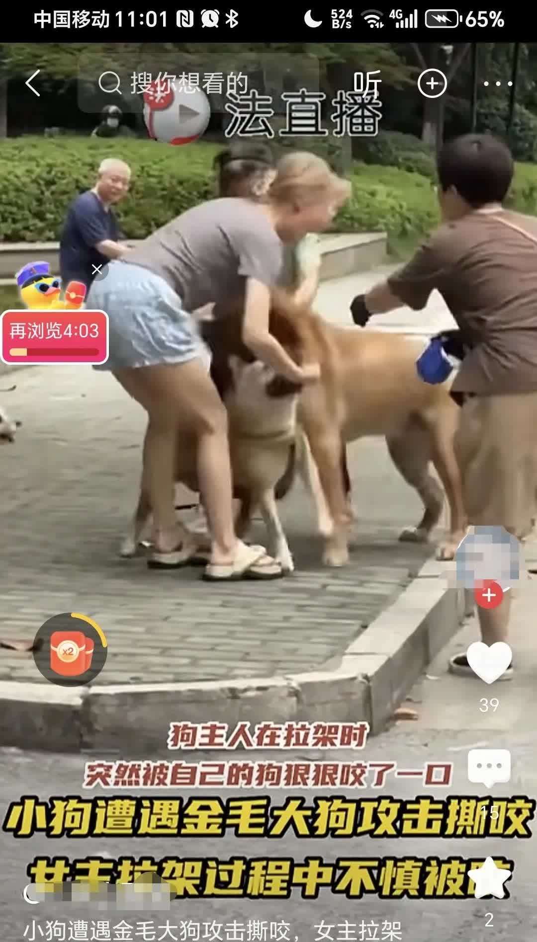 狗咬狗，女子护狗心切徒手拉架被咬伤。

真是孝心满满啊，可是怎么能徒手打狗呢