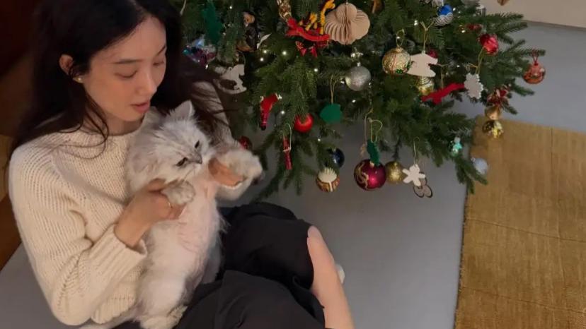 郑丽媛晒圣诞照片，抱着猫咪与圣诞树合影好温馨，发文为生病宠物祈祷