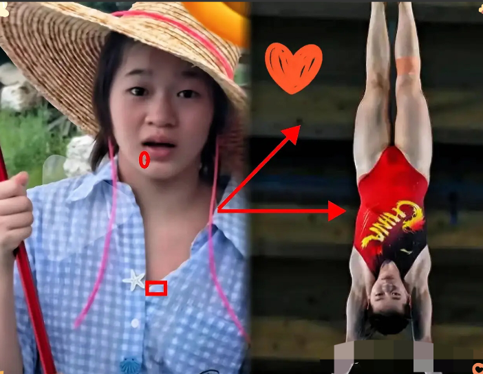 

全红婵迟迟不回国家队跳水的原因，不是因为有伤没养好，也不是因为舍不得爸妈，而