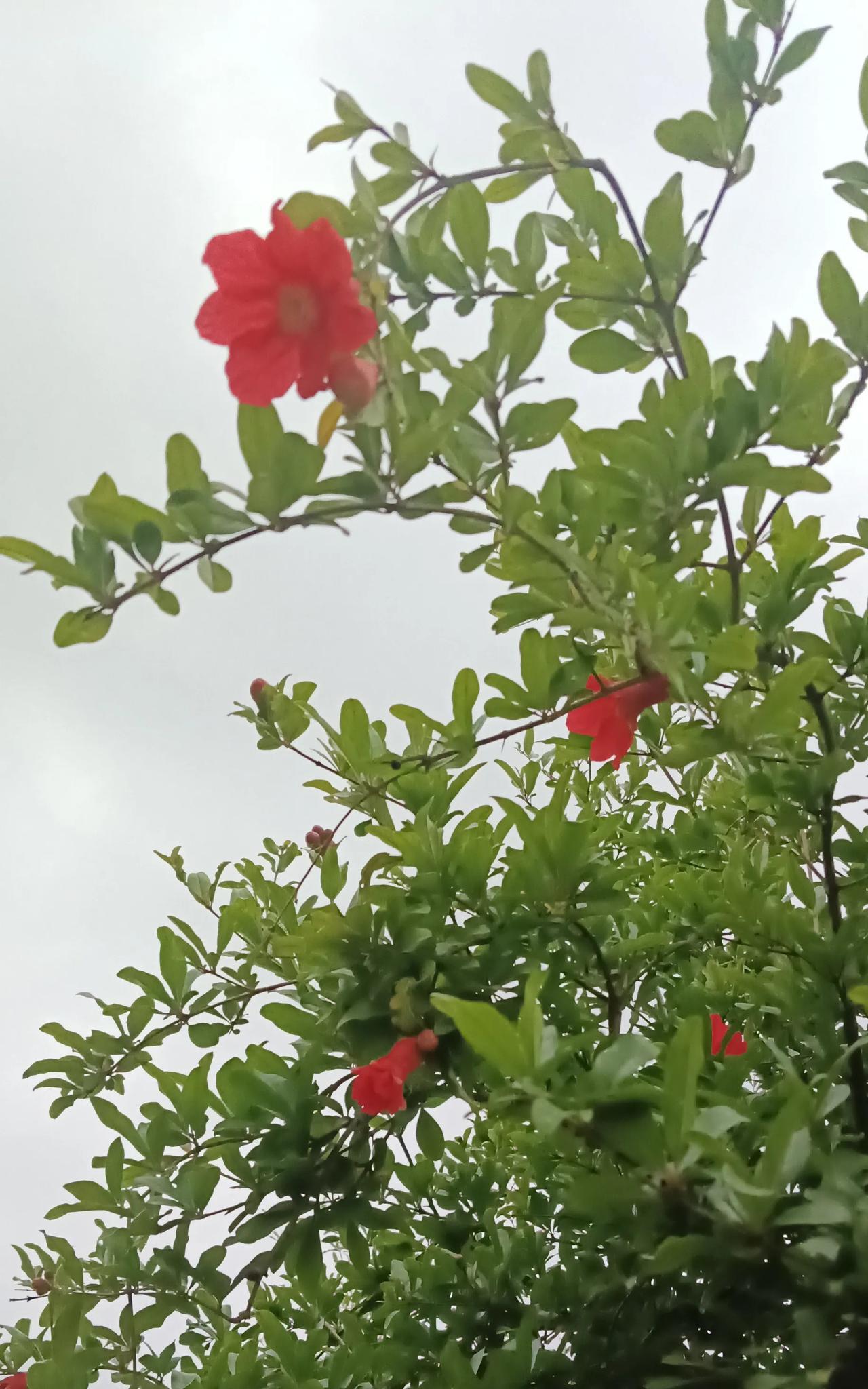 父亲的故事。父亲又摔门出去了。他没出去多久，有村人过来报信，说父亲被人送到医院了