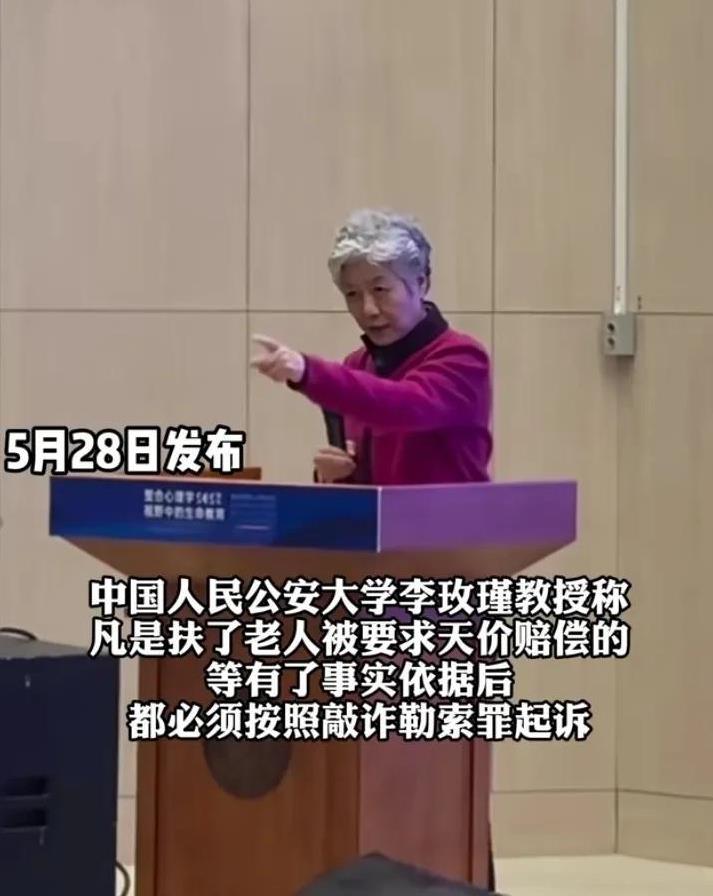 中国人民公安大学李玫瑾谈“扶老被讹”现象：即便不能够判刑，也要高额罚款！按“敲诈
