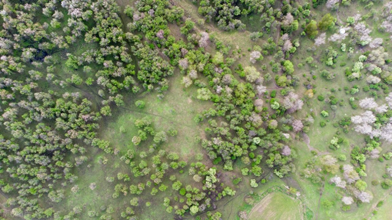 耐高温丝印烤盘：表面披风处理与注塑口位置的使用影响解析