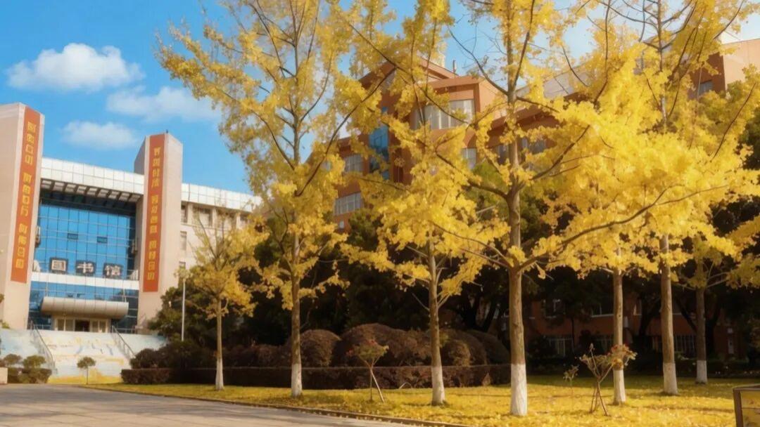 湖南工商大学就业怎么样？选对跑道，赢在起点！