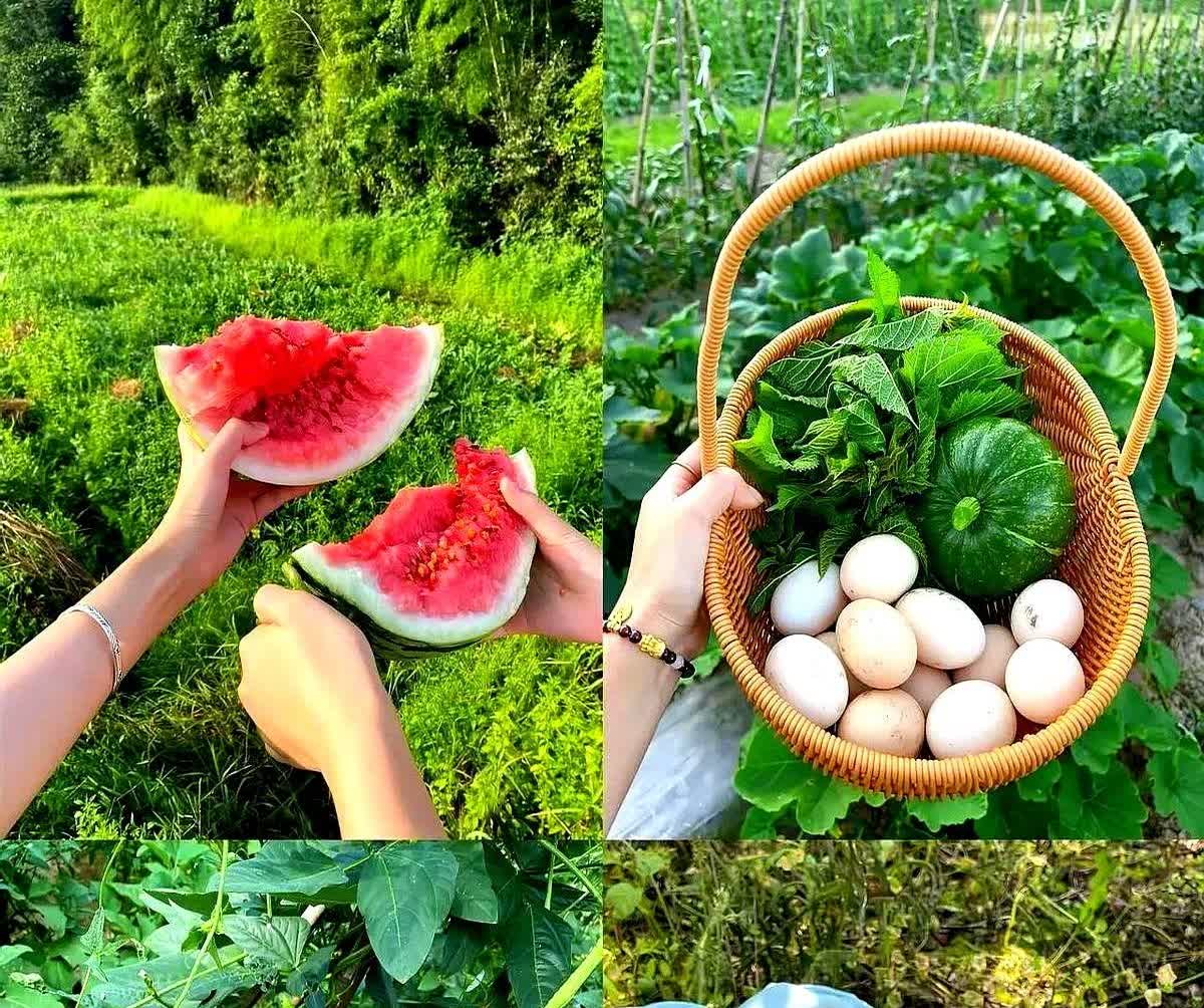 怀疑过黄圣依妈妈上节目是为了宣传

也怀疑过是为了给黄圣依搞流量

但是
