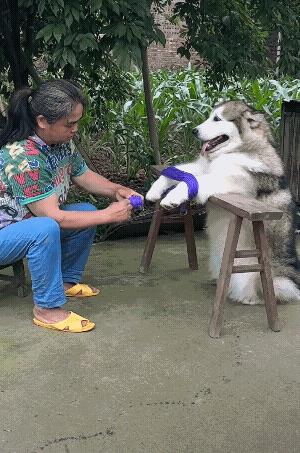 没有配合着左右摆动，我们小时候都要左右动动的！[捂脸]