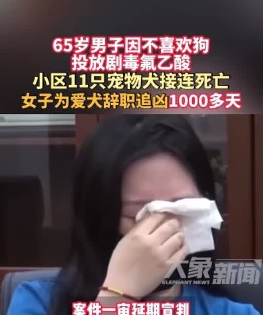 太执着了！北京一名女子因宠物狗被毒死，辞职寻找凶手！

北京一小区内，有人投