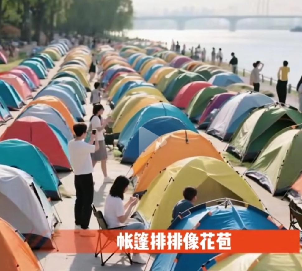 00后才是自信，自我的一代人！
00后是在网络百科全书上泡大的孩子，对世界的了解