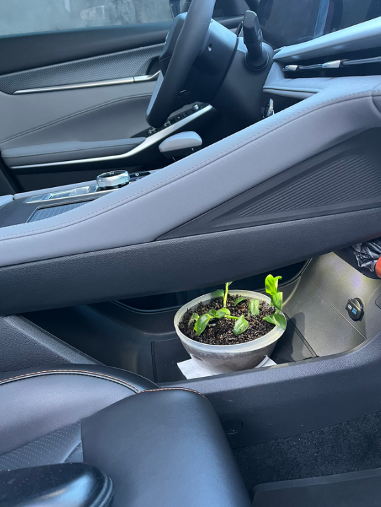 长安CS75 PLUS车辆启动困难，点火开关按下响两三秒才启动，甚至有一次启动失