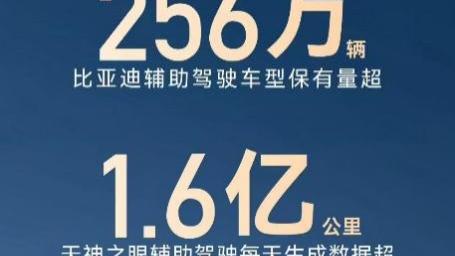单月销量近 20 万！比亚迪天神之眼让全民智驾照进现实