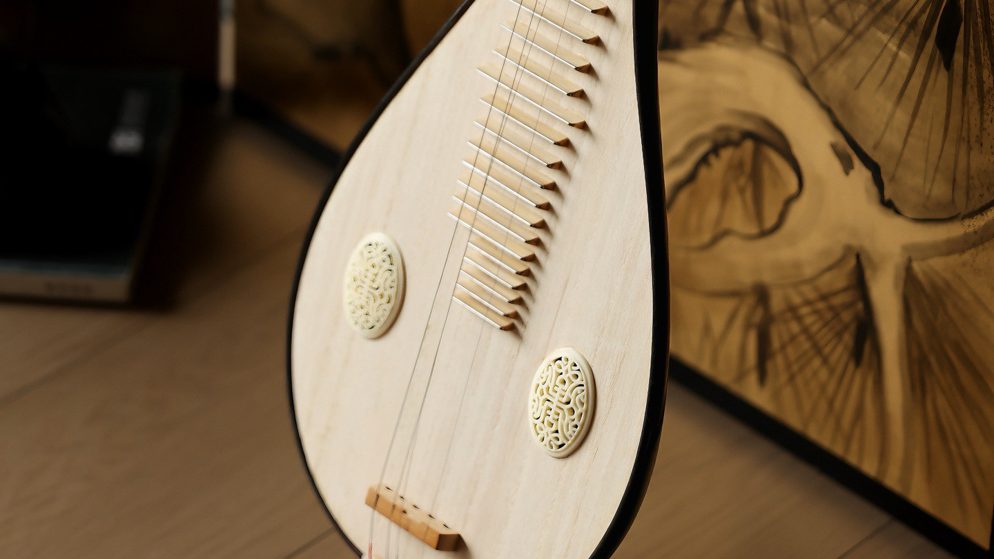 民乐瑰宝，一木掏珍，满金星紫檀琵琶琴