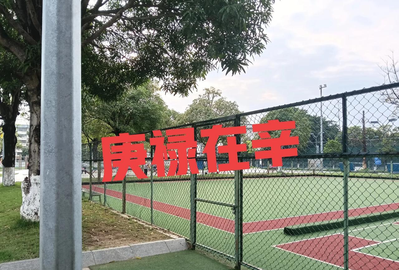 庚禄在申
庚为十天干之一，五行属金，象征刚健、变革之力。
禄指天干在地支中的临官