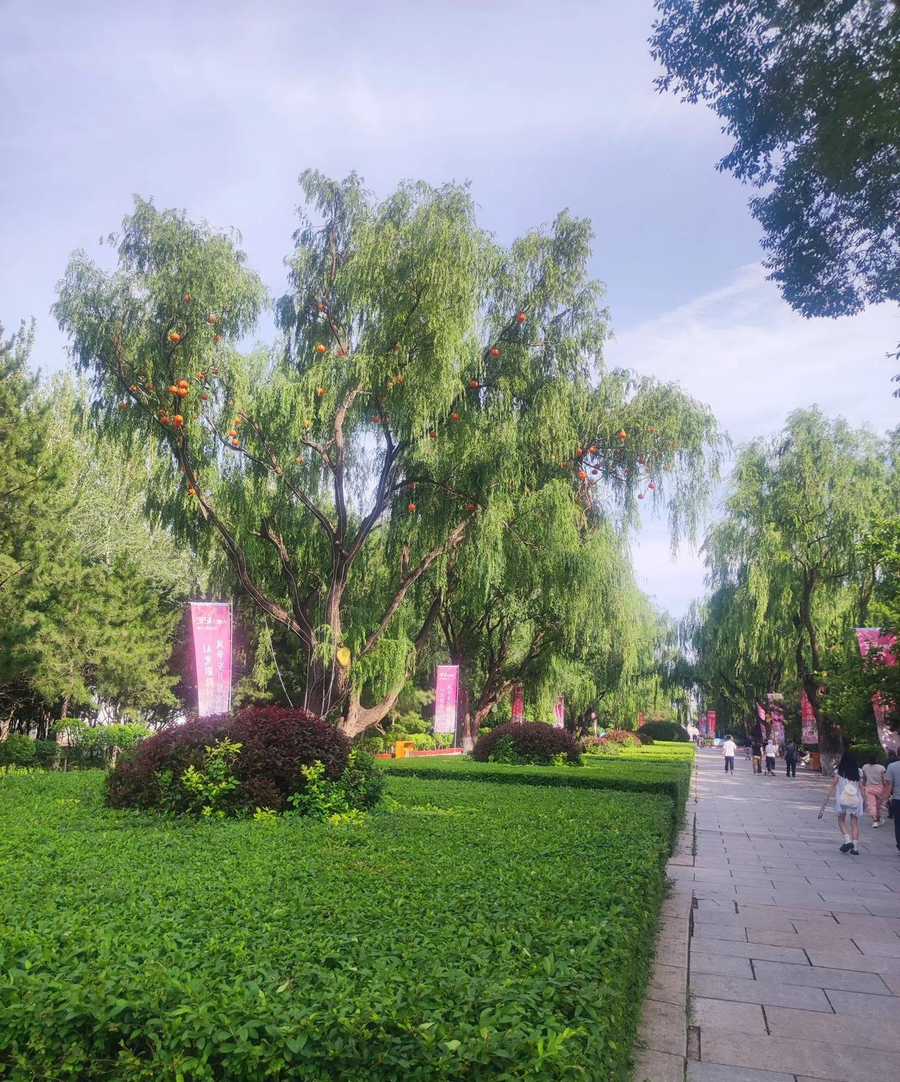 第一次夏天来内蒙呼和浩特，很多事情觉得很新奇。
不知不觉中，呼市也有了自己的地铁