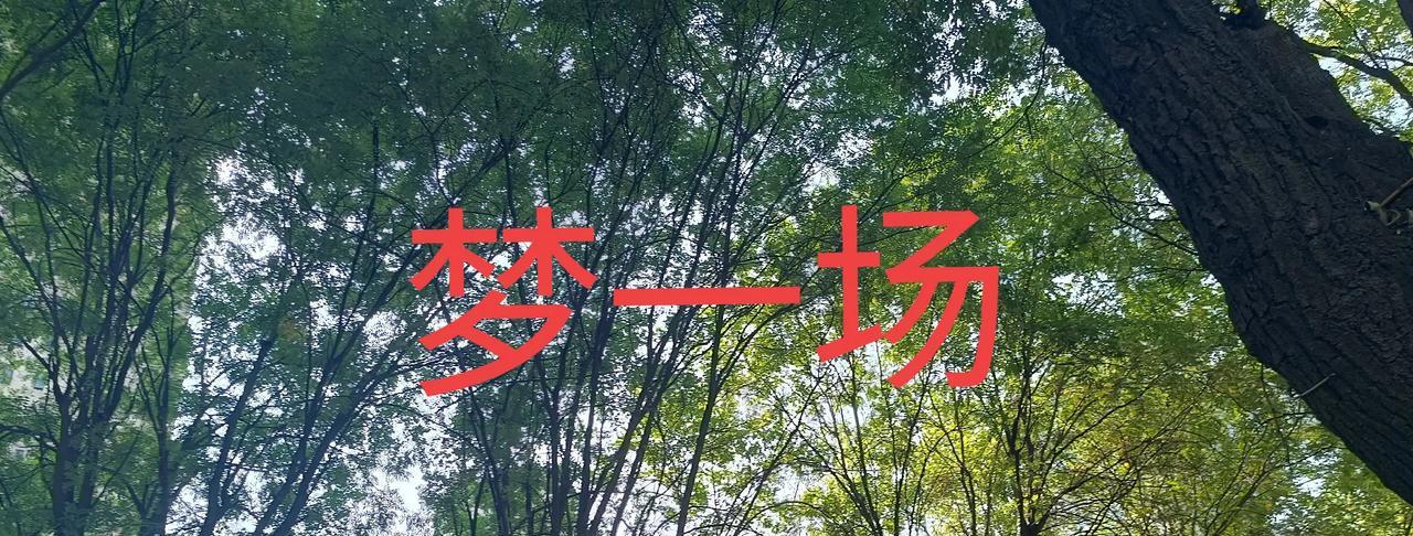 #赵露思发文控诉经纪公司#看了一下她发的，总结一下大概就是此前她生病了不能工作为
