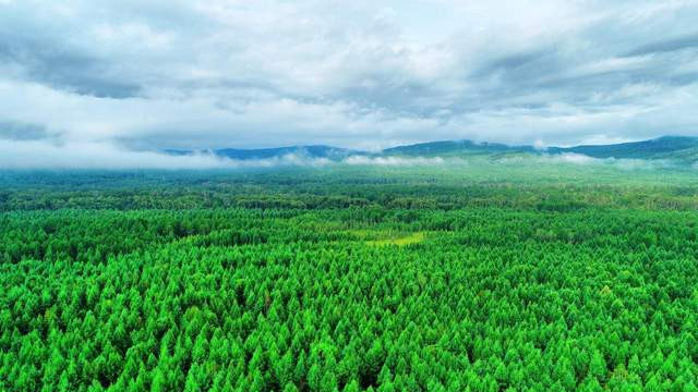 FSC认证木浆纤维袋三边封棉纸袋笔记本手机手机保护膜防刮防水袋