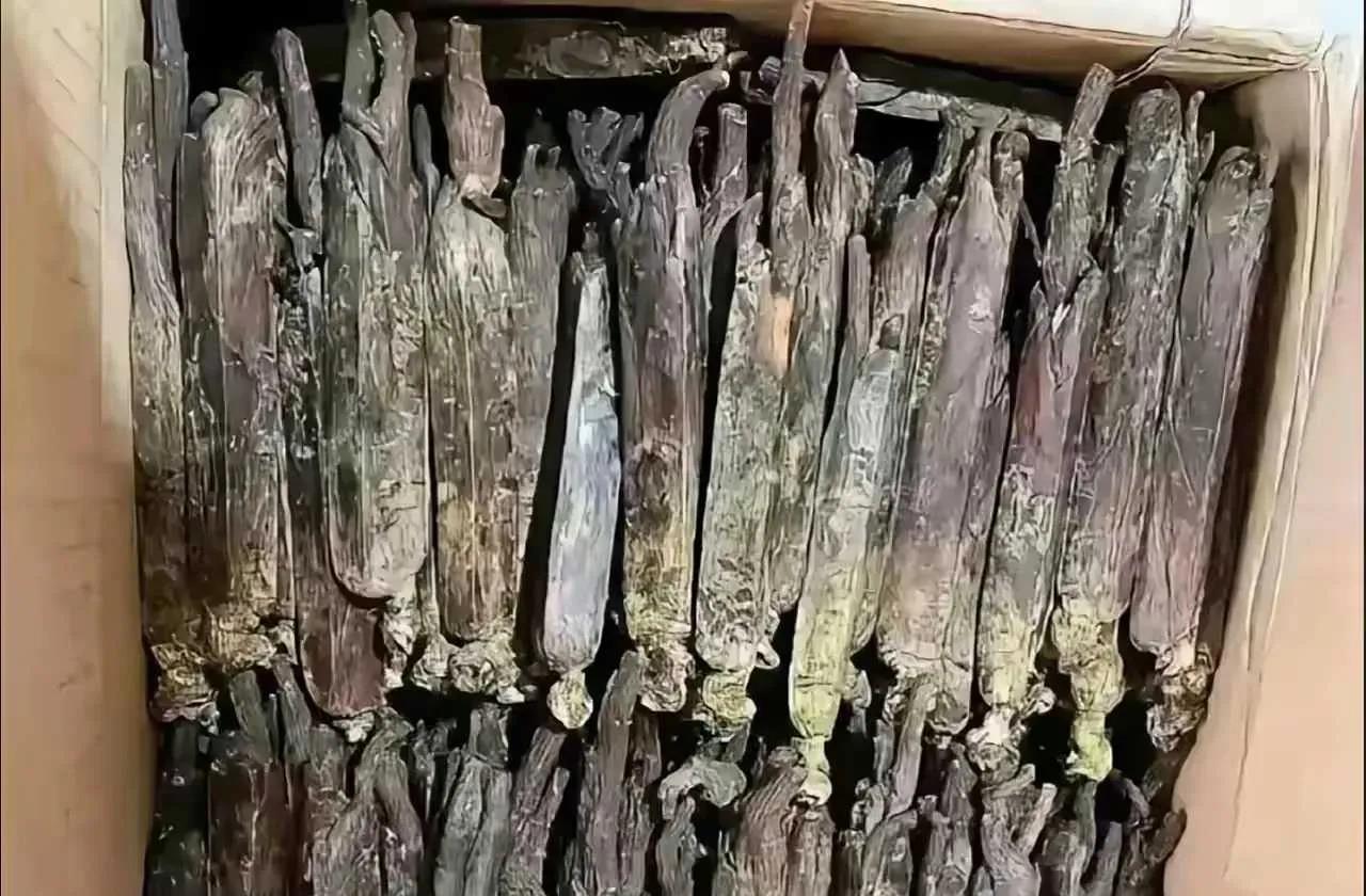 租客留下的干货，能吃吗