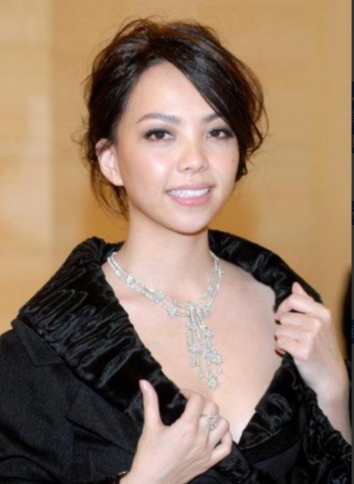 2010年，37岁的张惠妹对31岁的酒吧调酒师一见钟情，她为他砸下1500万，决