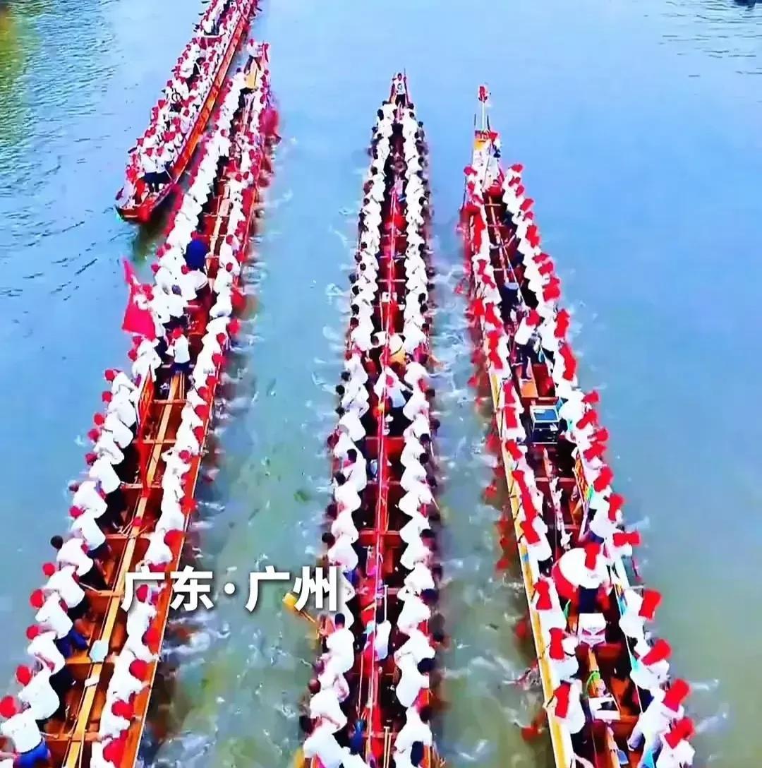 #记录我的2025#
广州的龙舟，
已经准备好了[呲牙][呲牙][呲牙]