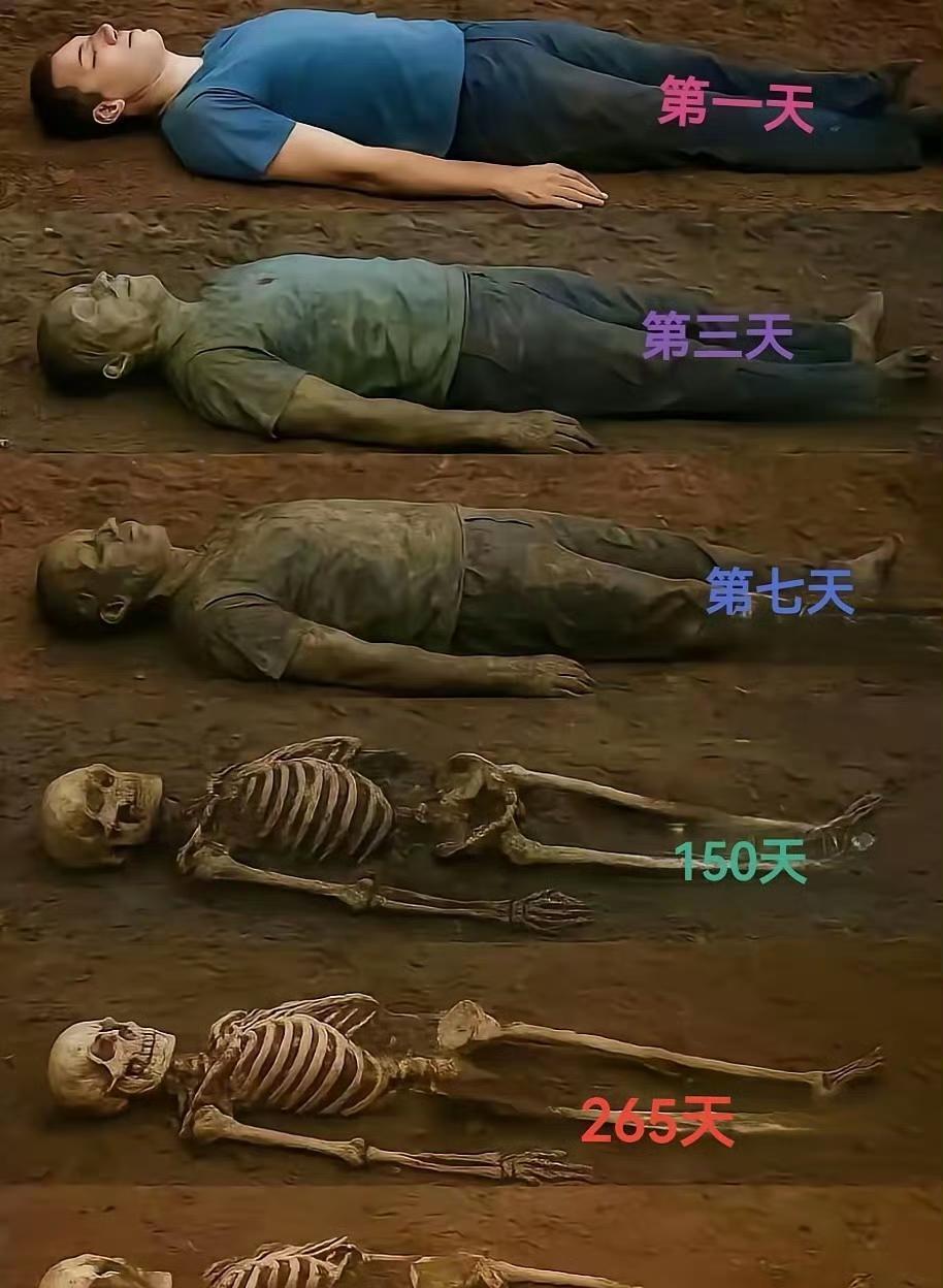 人都是这个结果，火化，更快融入大自然。