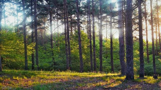 40g格拉辛纸袋FSC认证GRS证书可回收降解服装化妆品电子产品包装