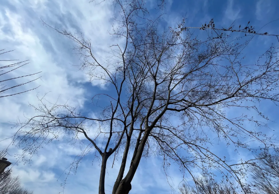 教育上最扯蛋的几件事：
1，稀有与普通共酬
举例：
兴趣社团
教球的老师校校都有