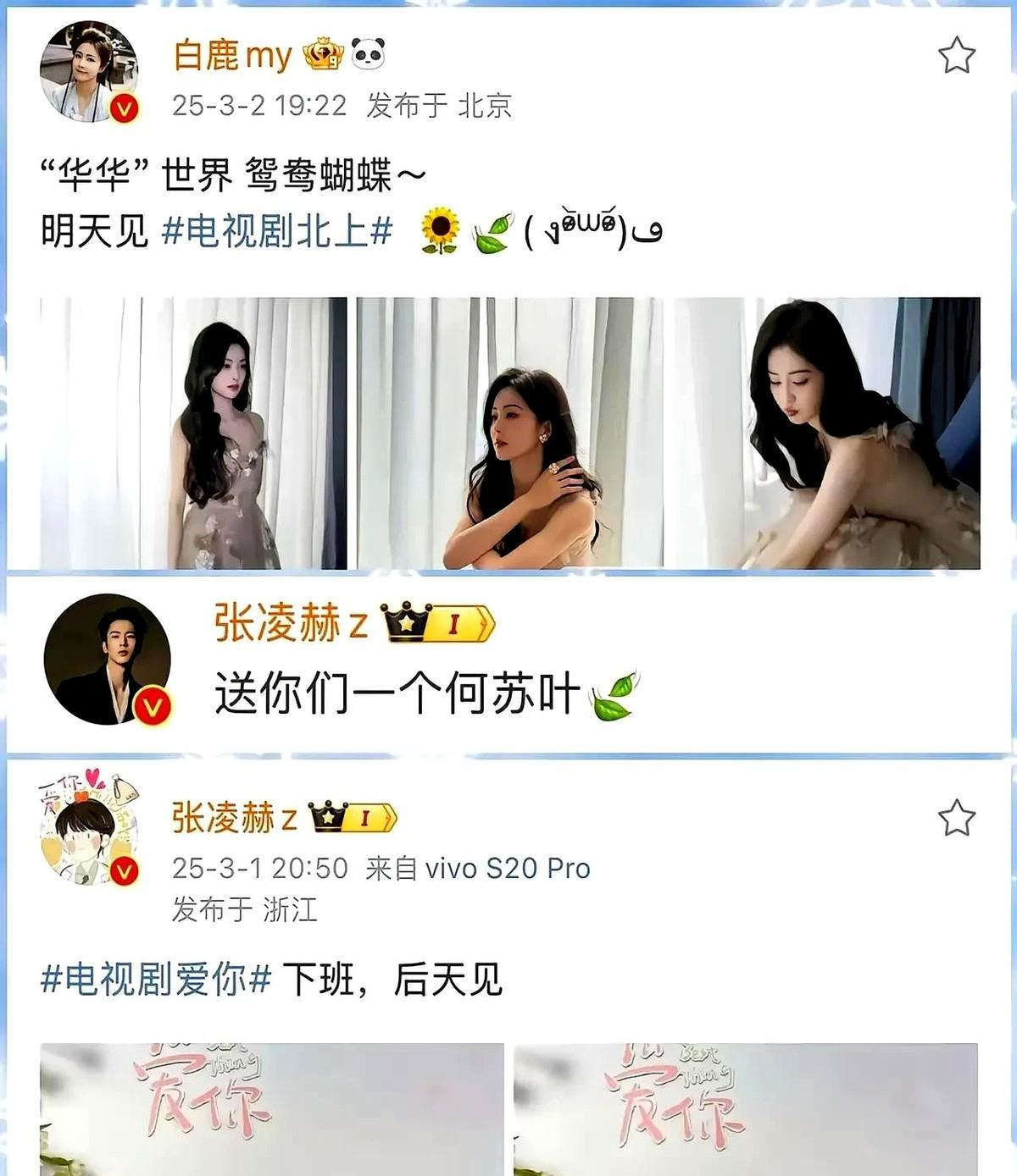 白鹿张凌赫复合引热议











天呐！白鹿和张凌赫，他们俩，居然，又