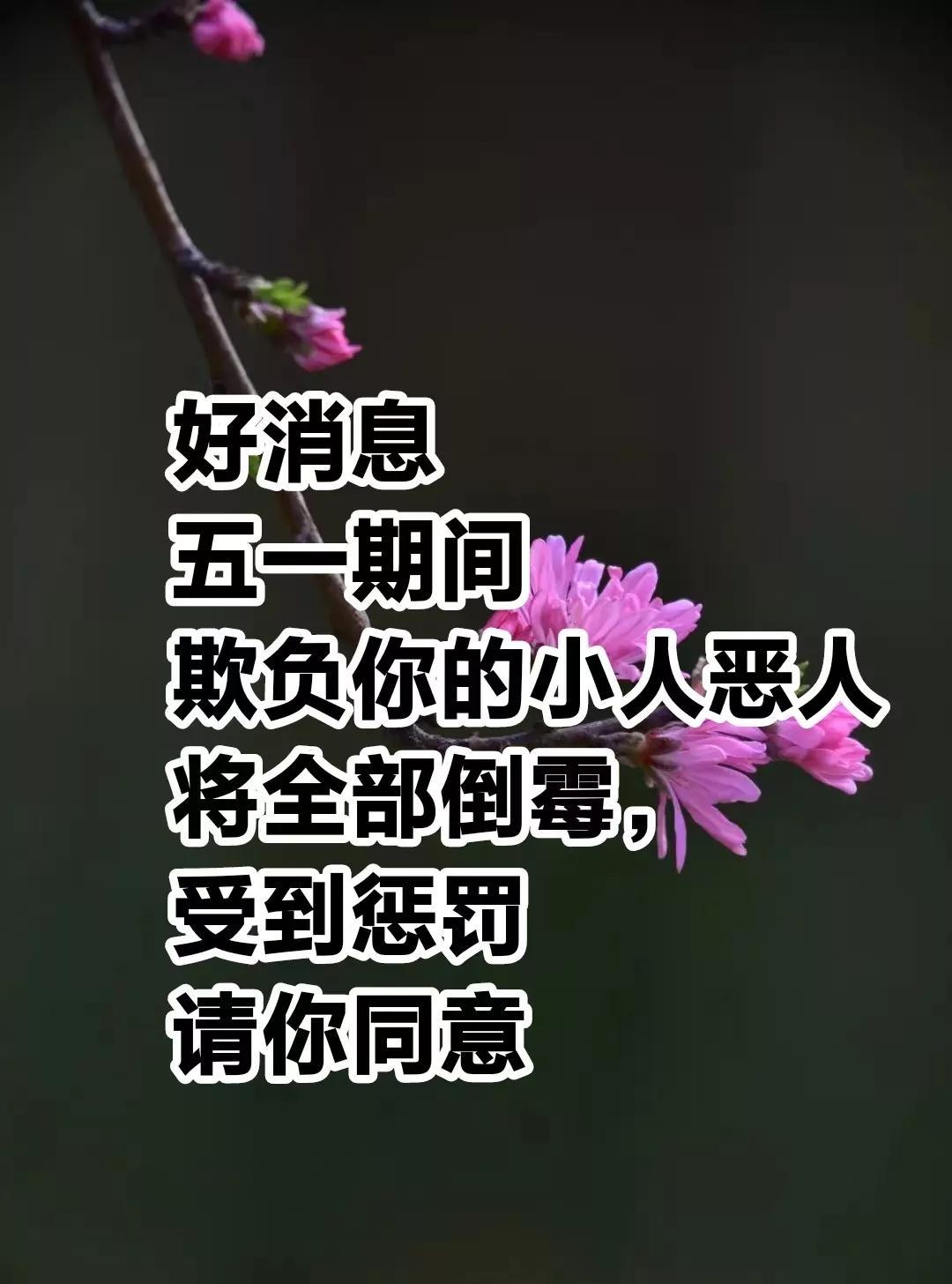 好消息，五一期间，曾经欺负过你的小人，恶人都将全部倒霉透顶，受到惩罚，请你留下，