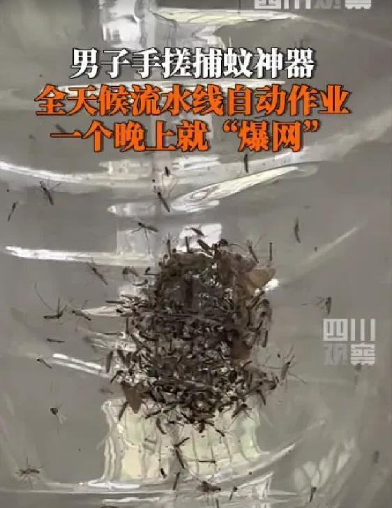 “人怎么能这么聪明!”5月22日，福建厦门，一男子被村里的蚊子叮的不胜其烦于是灵