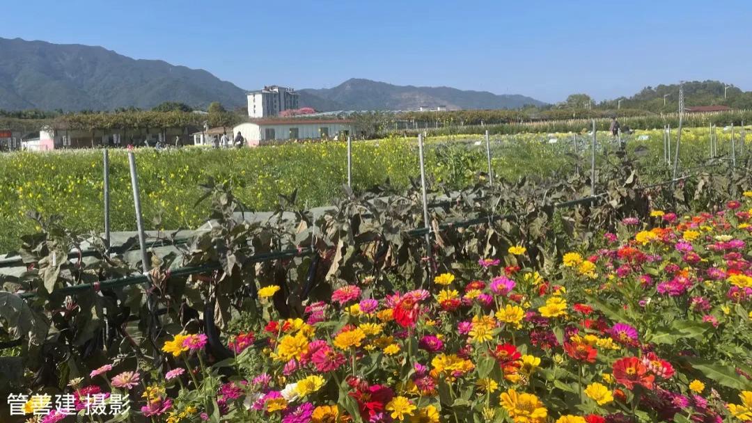 编辑准时发稿，促成我的好习惯