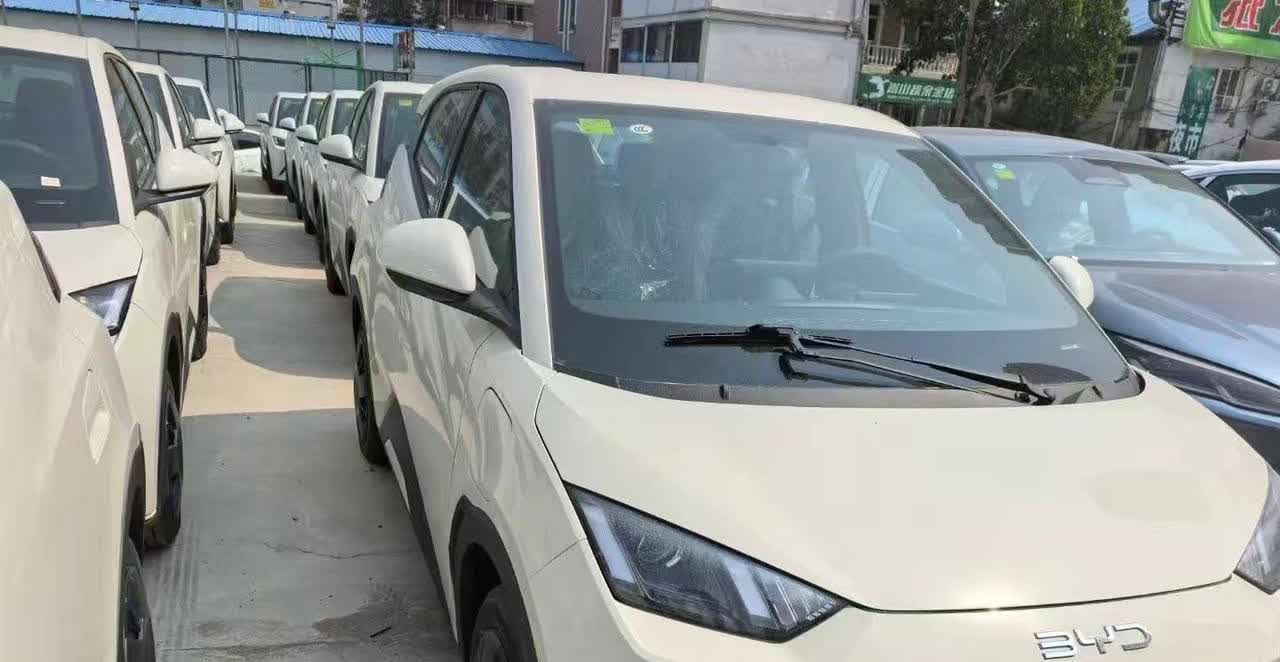 海鸥降价了。四万多买一台新车，上你一手户终身质保要什么自行车