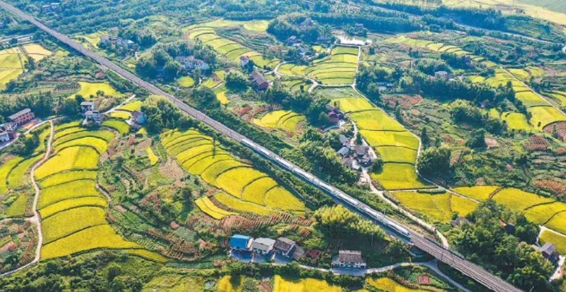 在这件事上，世界上任何一个国家，都比不上中国！
世界上的国家有很多，但几乎没有一