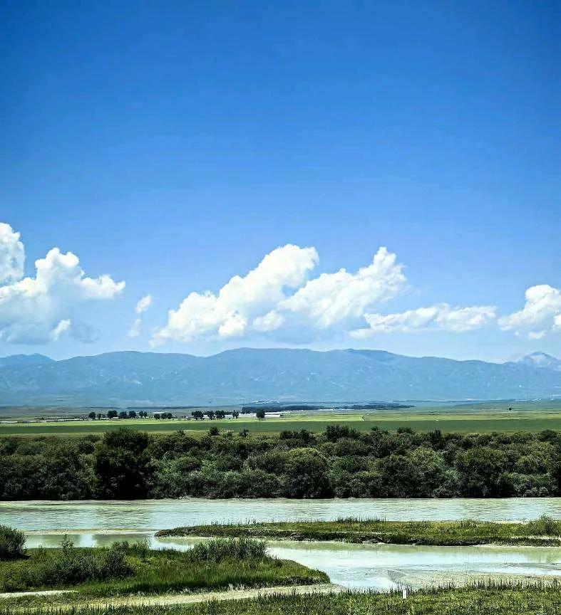 小县城最受欢迎的6个单位:
1、组织部
2、财政局
3、公检法系统
4、医疗系统