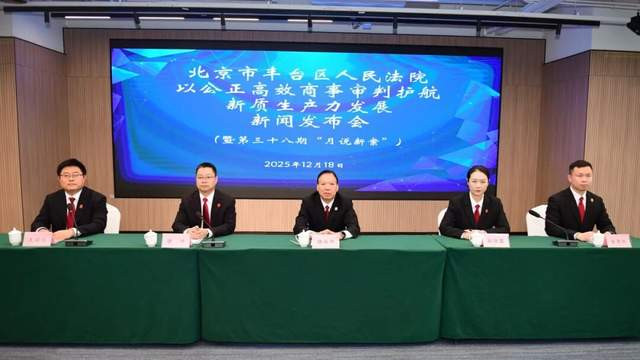 护航新质生产力发展，这家法院有所作为——