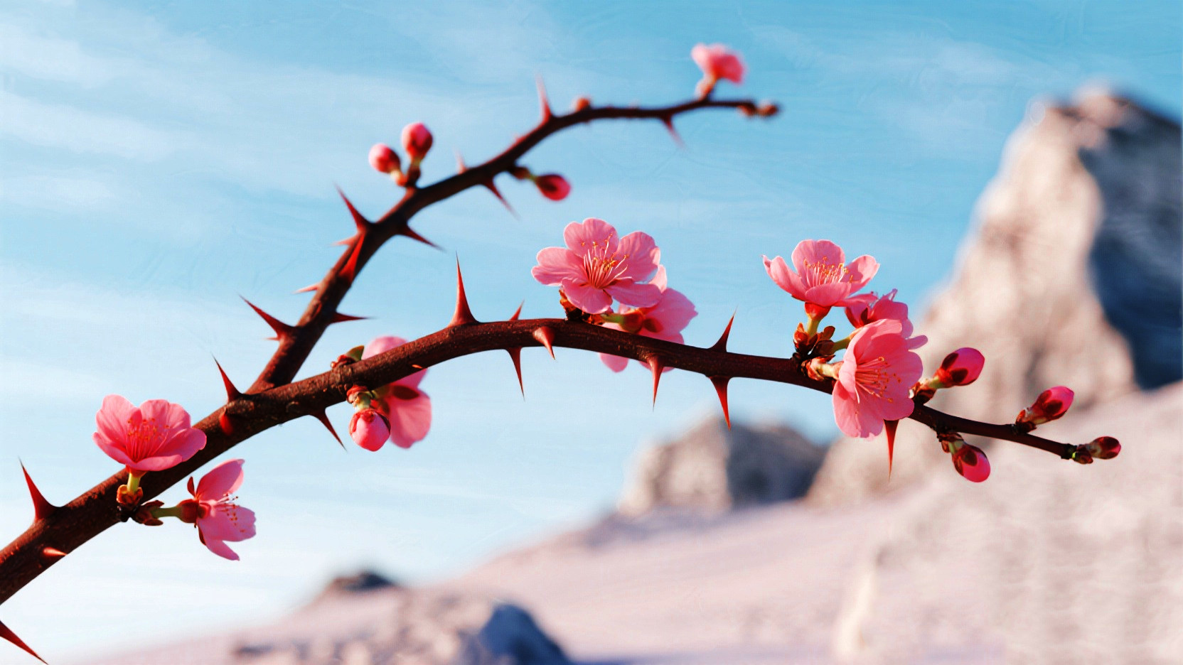 善良无锋，反成软肋？