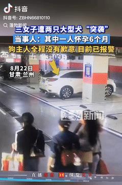 严惩不贷！甘肃兰州，三女子去地下车库取车，突然，有只大狗朝她们冲了过来，吓得两名