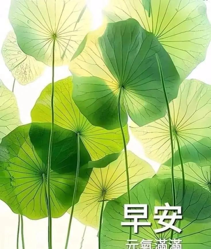 早上好，今天是6月24日星期二。
2025年女排世联赛北京站、香港站的比赛已经全